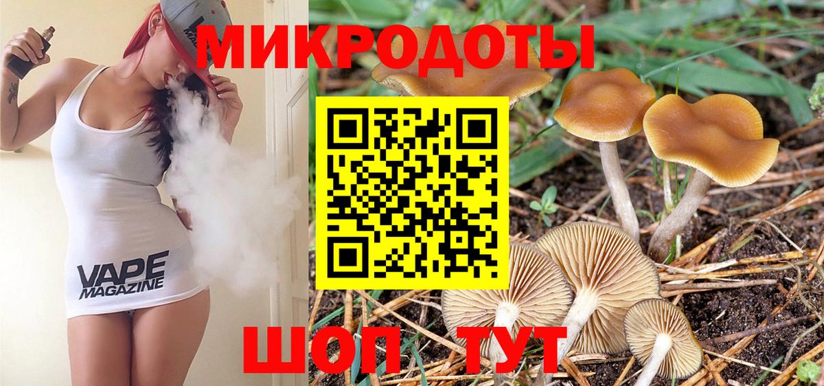 дарнет шоп  Галлюциногенные грибы Psilocybe  Вход с VPN  Балаково  Псилоцибиновые грибы прущие грибы 